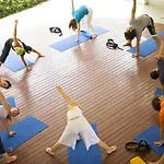 The Lifeco Bodrum Well-Being Detox Center And Vegan Hotel (Adults Only) Hotel 3*
