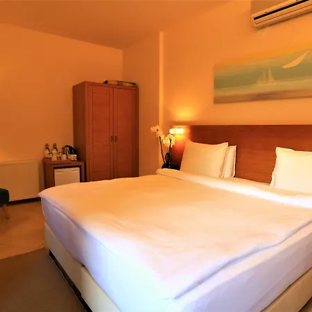 The Lifeco Bodrum Well-being Detox Center And Vegan (adults Only) 3* Golturkbuku