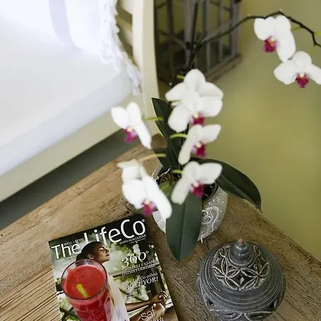 Hotel The Lifeco Bodrum Well-Being Detox Center And Vegan Hotel (Adults Only) 3*