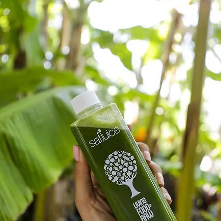 The Lifeco Bodrum Well-Being Detox Center And Vegan Hotel (Adults Only) Golturkbuku