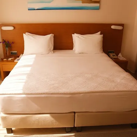 The Lifeco Bodrum Well-Being Detox Center And Vegan Hotel (Adults Only) Hotel