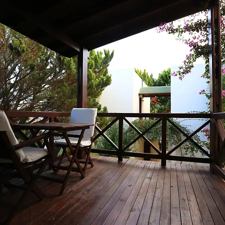 מלון The Lifeco Bodrum Well-being Detox Center And Vegan (adults Only)