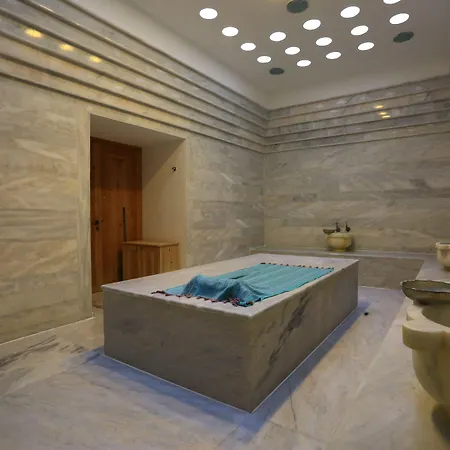 The Lifeco Bodrum Well-being Detox Center And Vegan (adults Only) Otel 3*