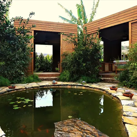 מלון The Lifeco Bodrum Well-being Detox Center And Vegan (adults Only) 3*
