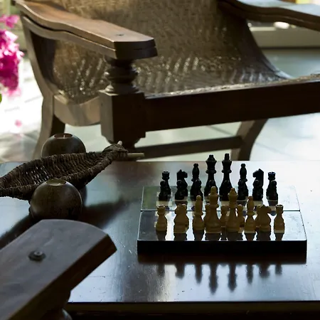 מלון The Lifeco Bodrum Well-being Detox Center And Vegan (adults Only) גולטורקבוקו