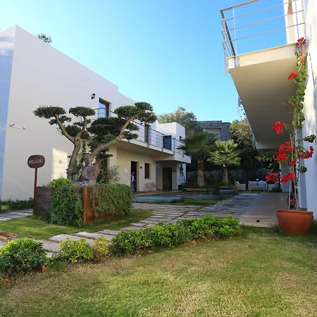 The Lifeco Bodrum Well-being Detox Center And Vegan (adults Only) מלון גולטורקבוקו