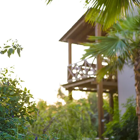 The Lifeco Bodrum Well-being Detox Center And Vegan (adults Only) מלון 3*