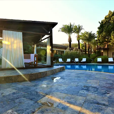 The Lifeco Bodrum Well-being Detox Center And Vegan (adults Only)