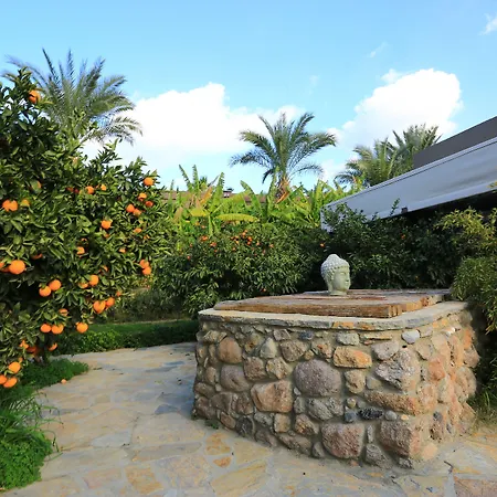 מלון The Lifeco Bodrum Well-being Detox Center And Vegan (adults Only)