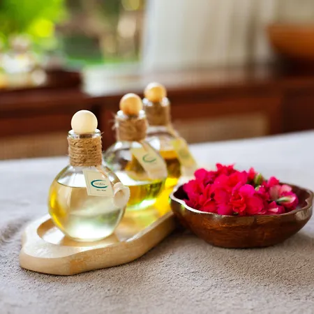 The Lifeco Bodrum Well-being Detox Center And Vegan (adults Only) מלון גולטורקבוקו