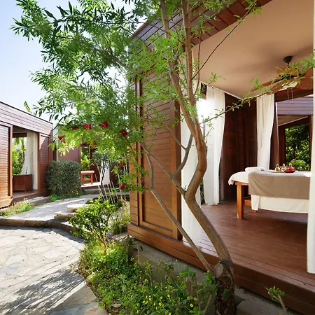Otel The Lifeco Bodrum Well-being Detox Center And Vegan (adults Only)