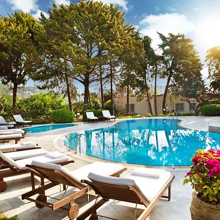 Otel The Lifeco Bodrum Well-being Detox Center And Vegan (adults Only) 3*