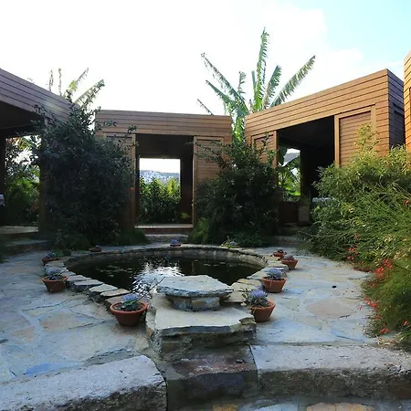 Hotel The Lifeco Bodrum Well-Being Detox Center And Vegan Hotel (Adults Only)