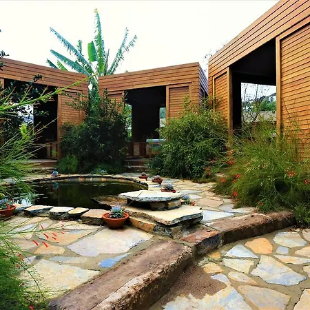 Hotel The Lifeco Bodrum Well-Being Detox Center And Vegan Hotel (Adults Only) Golturkbuku