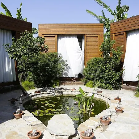 The Lifeco Bodrum Well-Being Detox Center And Vegan Hotel (Adults Only) Golturkbuku