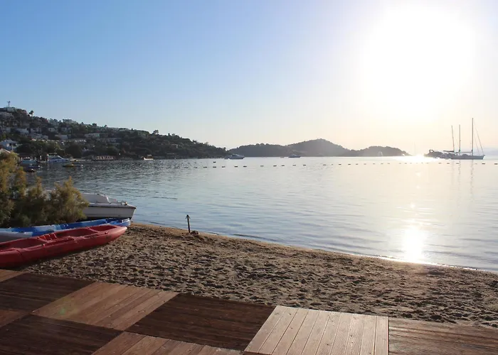 The Lifeco Bodrum Well-being Detox Center And Vegan (adults Only) Hotel