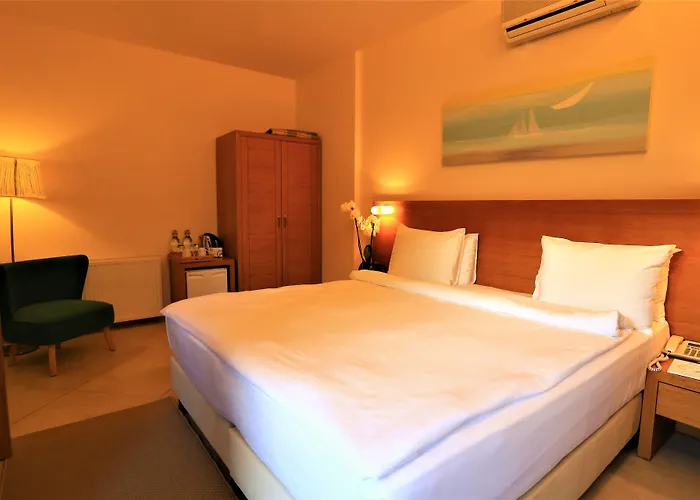 The Lifeco Bodrum Well-being Detox Center And Vegan (adults Only) 3* Göltürkbükü