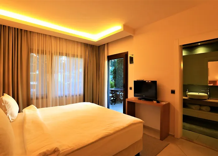 The Lifeco Bodrum Well-being Detox Center And Vegan (adults Only)