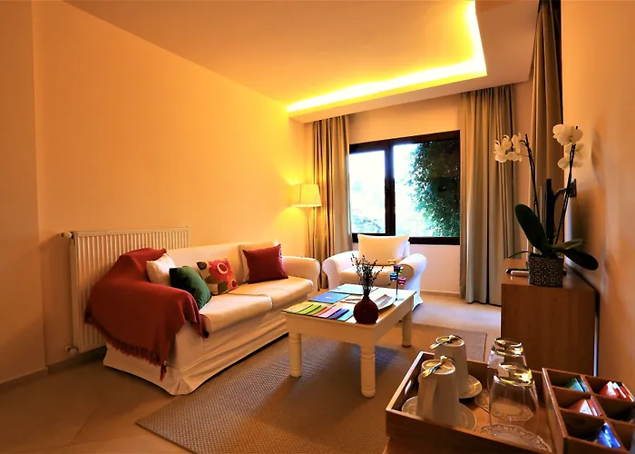 The Lifeco Bodrum Well-being Detox Center And Vegan (adults Only) Göltürkbükü