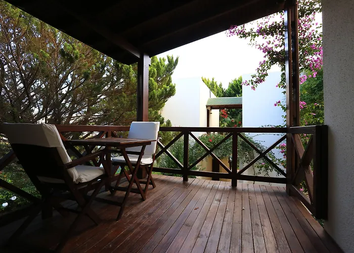 호텔 The Lifeco Bodrum Well-being Detox Center And Vegan (adults Only)