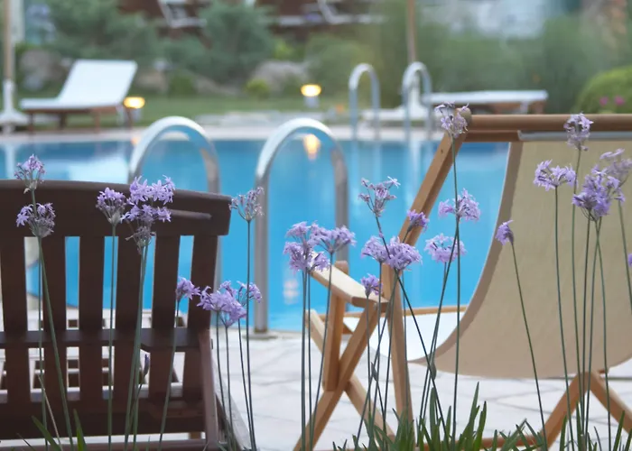 The Lifeco Bodrum Well-being Detox Center And Vegan (adults Only) Göltürkbükü