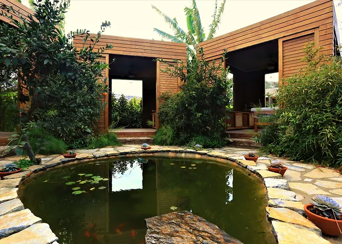 호텔 The Lifeco Bodrum Well-being Detox Center And Vegan (adults Only) 3*