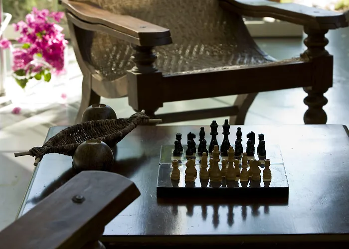 호텔 The Lifeco Bodrum Well-being Detox Center And Vegan (adults Only) 골터크부쿠