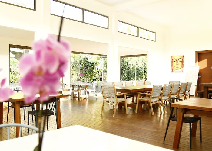 호텔 The Lifeco Bodrum Well-being Detox Center And Vegan (adults Only) 3*