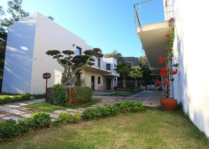The Lifeco Bodrum Well-being Detox Center And Vegan (adults Only) Hotel Göltürkbükü