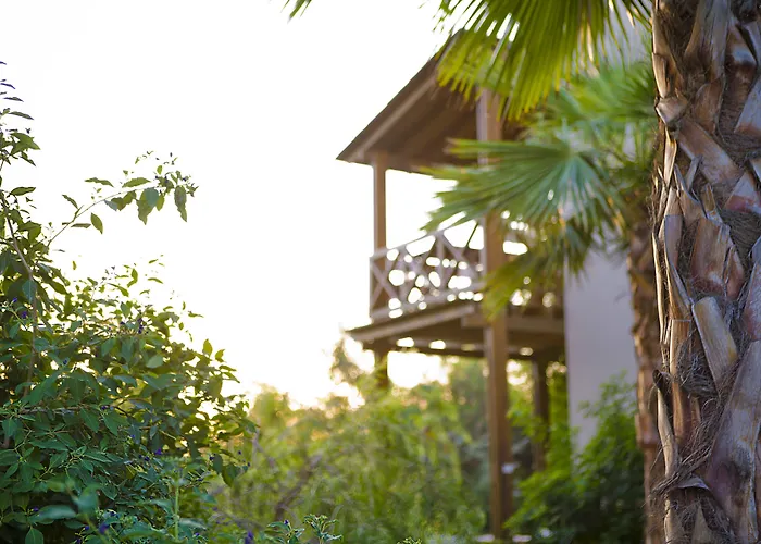 The Lifeco Bodrum Well-being Detox Center And Vegan (adults Only) 호텔 3*