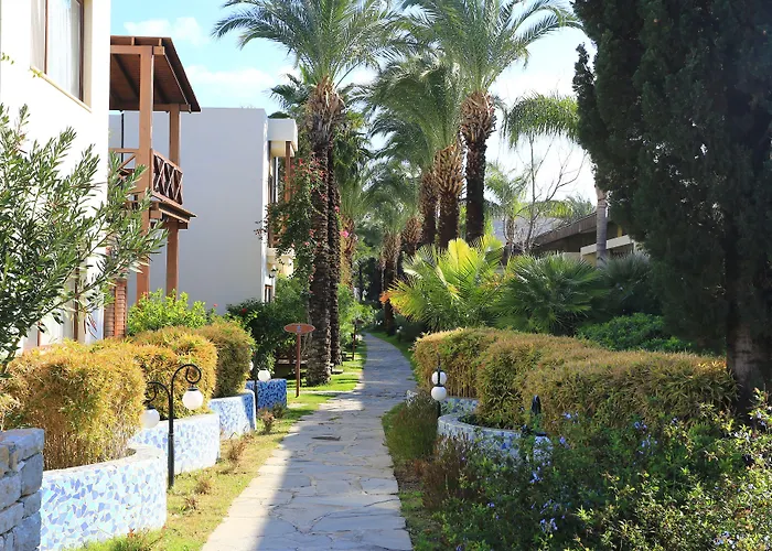 호텔 The Lifeco Bodrum Well-being Detox Center And Vegan (adults Only)