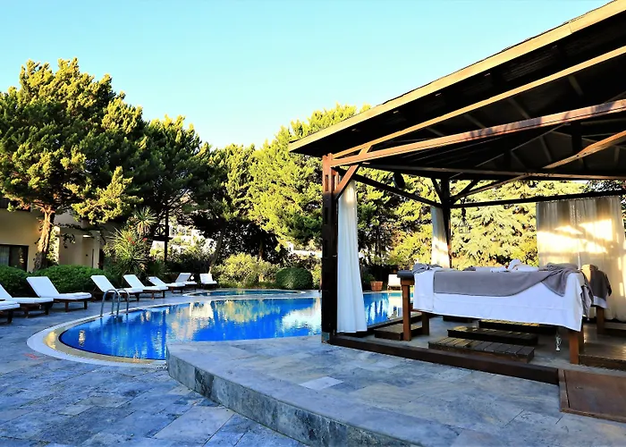 The Lifeco Bodrum Well-being Detox Center And Vegan (adults Only) 호텔 골터크부쿠