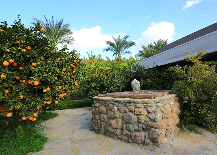 호텔 The Lifeco Bodrum Well-being Detox Center And Vegan (adults Only)