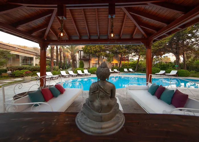 The Lifeco Bodrum Well-being Detox Center And Vegan (adults Only) 호텔