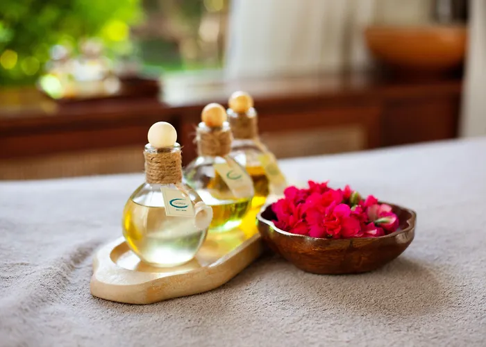 The Lifeco Bodrum Well-being Detox Center And Vegan (adults Only) 호텔 골터크부쿠